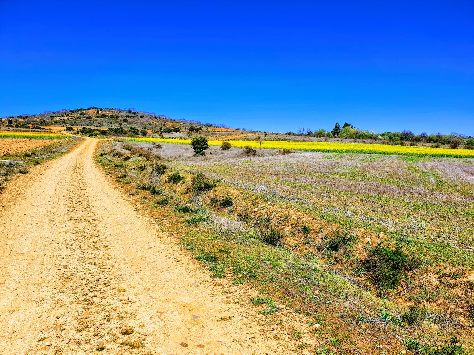 The colors of Spain - Albergue Villares de Órbigo